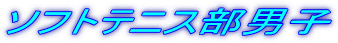 �\�t�g�e�j�X���j�q