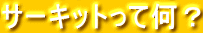 �T�[�L�b�g���ĉ��H